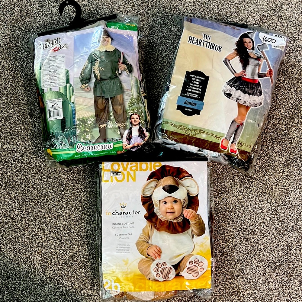 Wizard of oz family costume